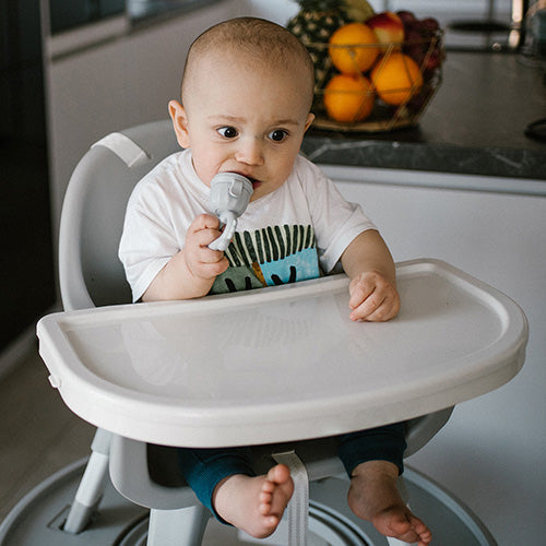 Babyono Twist - Out Baby Feeder Dino | Prenatal, Babies, Nusring, Cybex, Avent Feeder