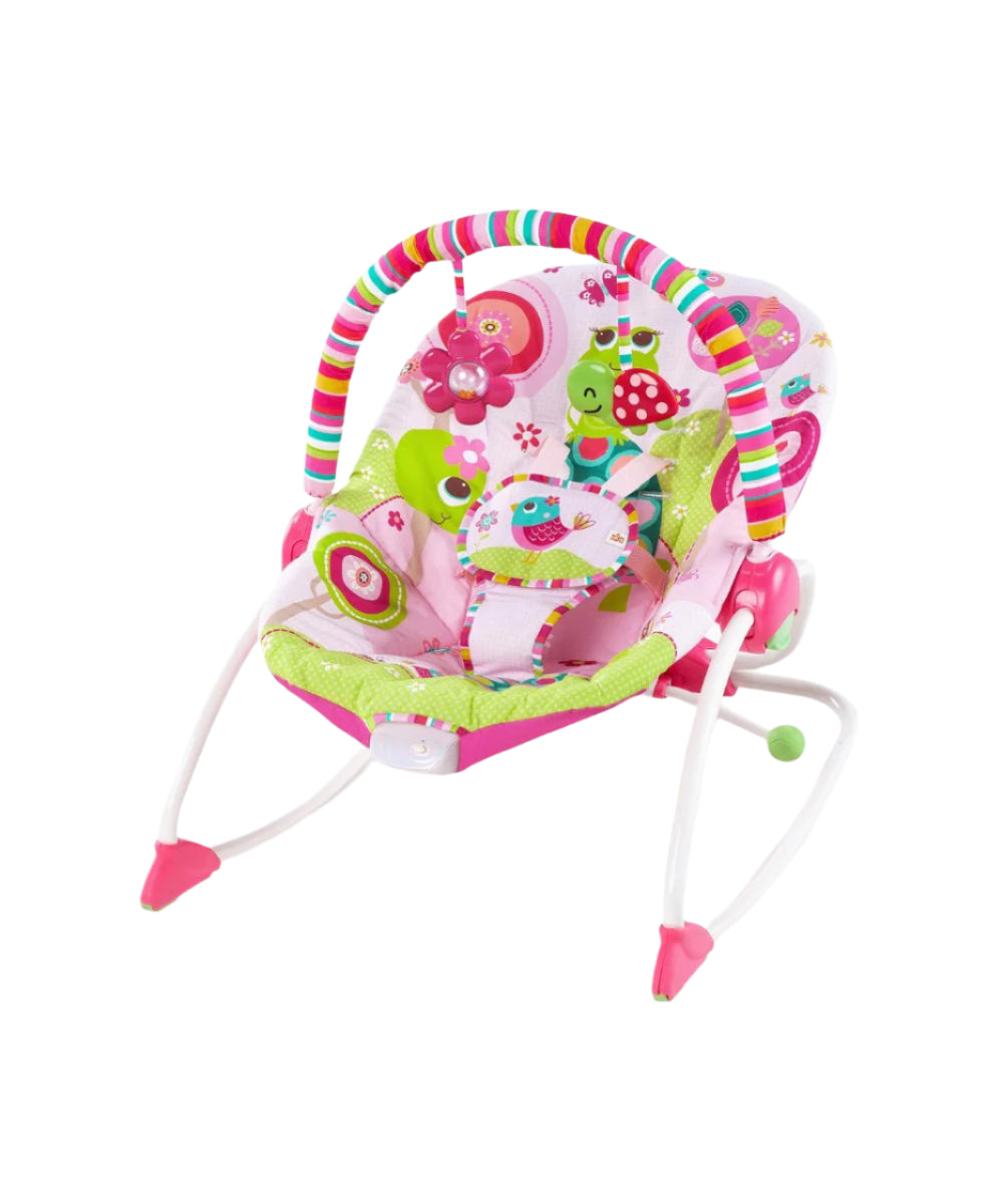Bright Starts Hammock Rocker Raspberry Garden | Prenatal, Babies, Nusring, Cybex, Avent Rocker