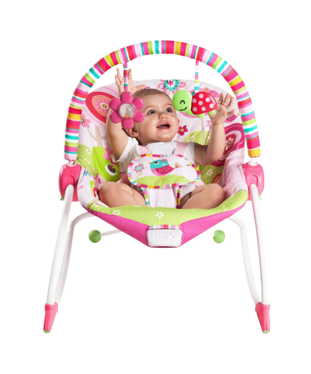 Bright Starts Hammock Rocker Raspberry Garden | Prenatal, Babies, Nusring, Cybex, Avent Rocker
