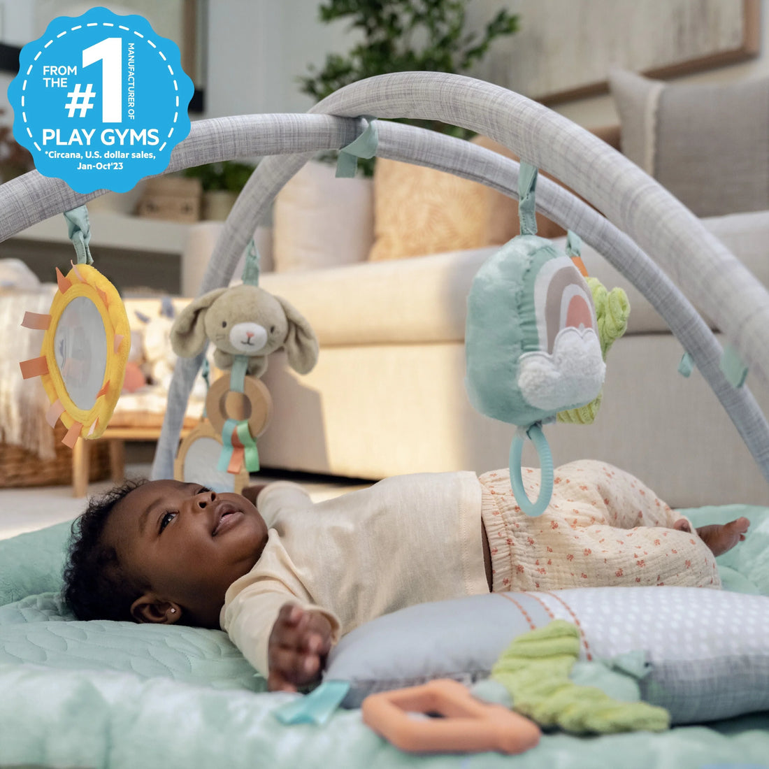 Ingenuity Calm Springs Plush Activity Baby Gym Play Gym