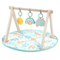 Ingenuity Sun Valley Wooden Toy Arch & Baby Play Mat Play Gym