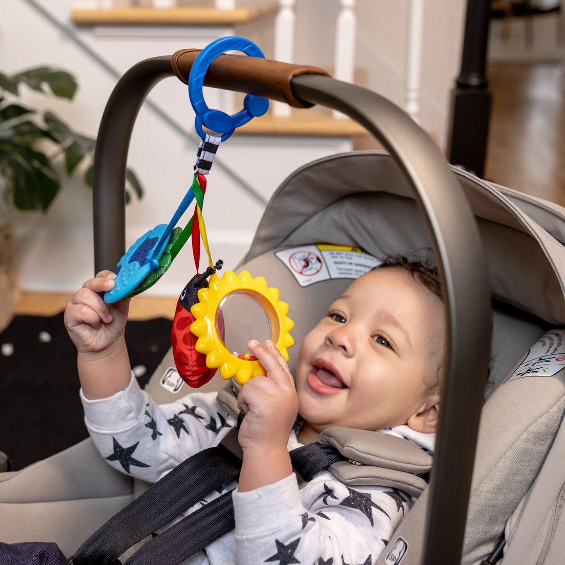 Baby Einstein Touch of Nature Sensory Toy Sensory Toy