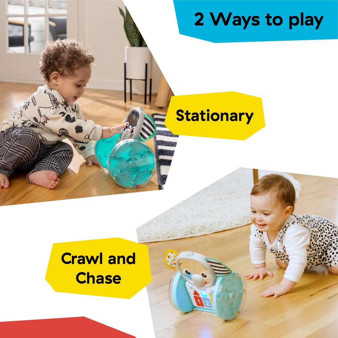Baby Einstein Chase & Tap Earl Crawling Baby Toy Chasing Toy
