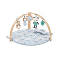Ingenuity  Cozy Spot Duvet Activity Gym with Self-Storage - Elephant March