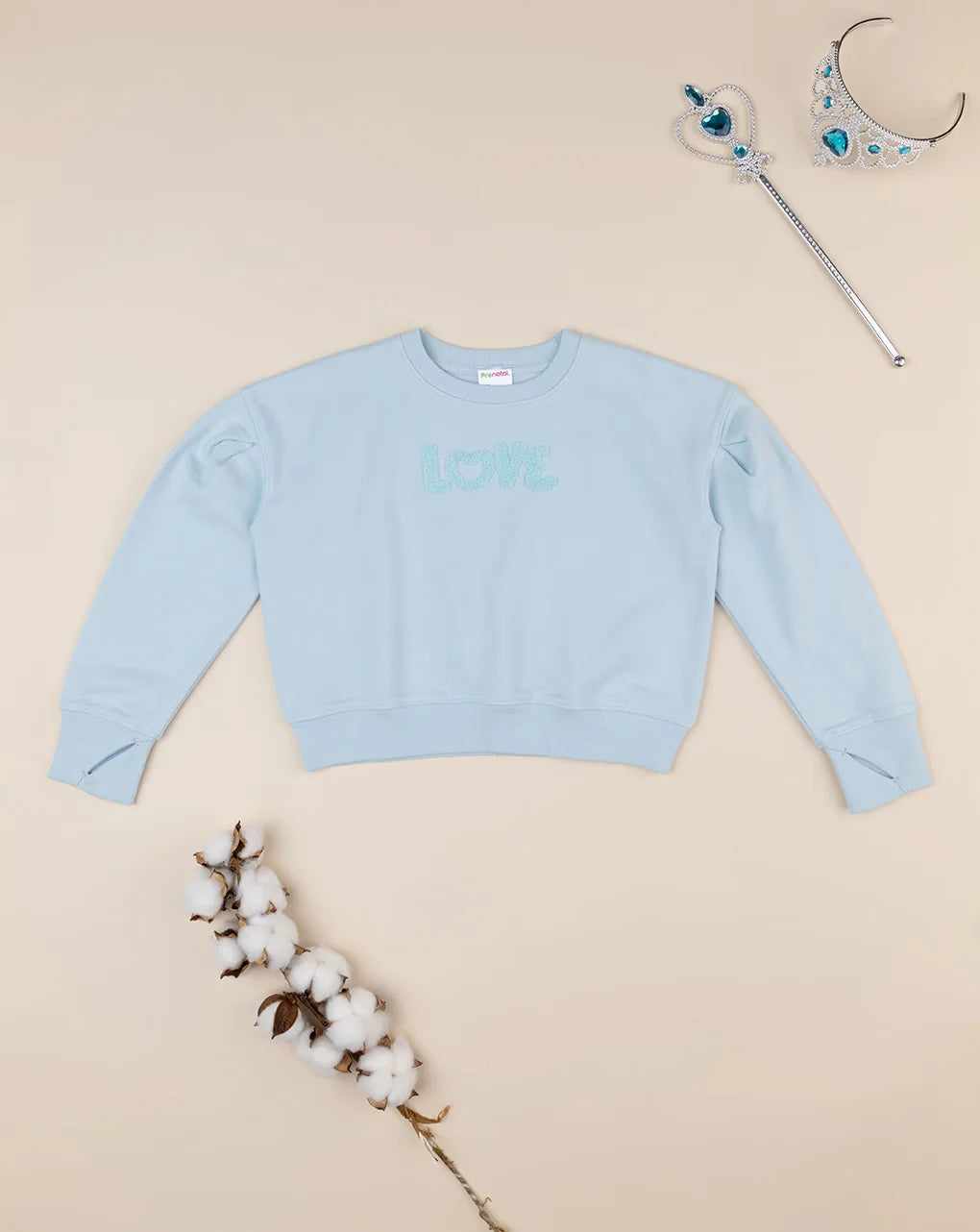 Prenatal Light blue sweatshirt with sponge embroidery Sweater
