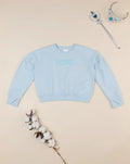 Prenatal Light blue sweatshirt with sponge embroidery Sweater