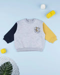 Prenatal Gray color block sweatshirt for kids