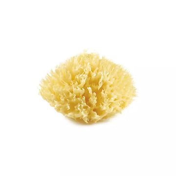 Thermobaby Honeycomb Mediterranean Natural Sponge Sponge
