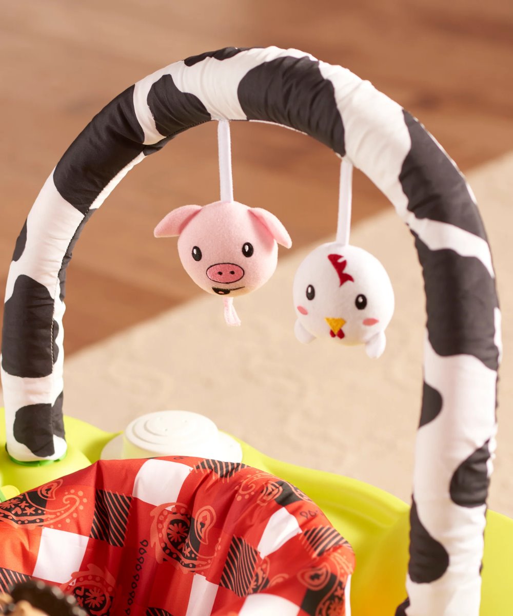 Evenflo Playful Pastures Bouncing Activity Saucer | Prenatal, Babies, Nusring, Cybex, Avent Activity Toy