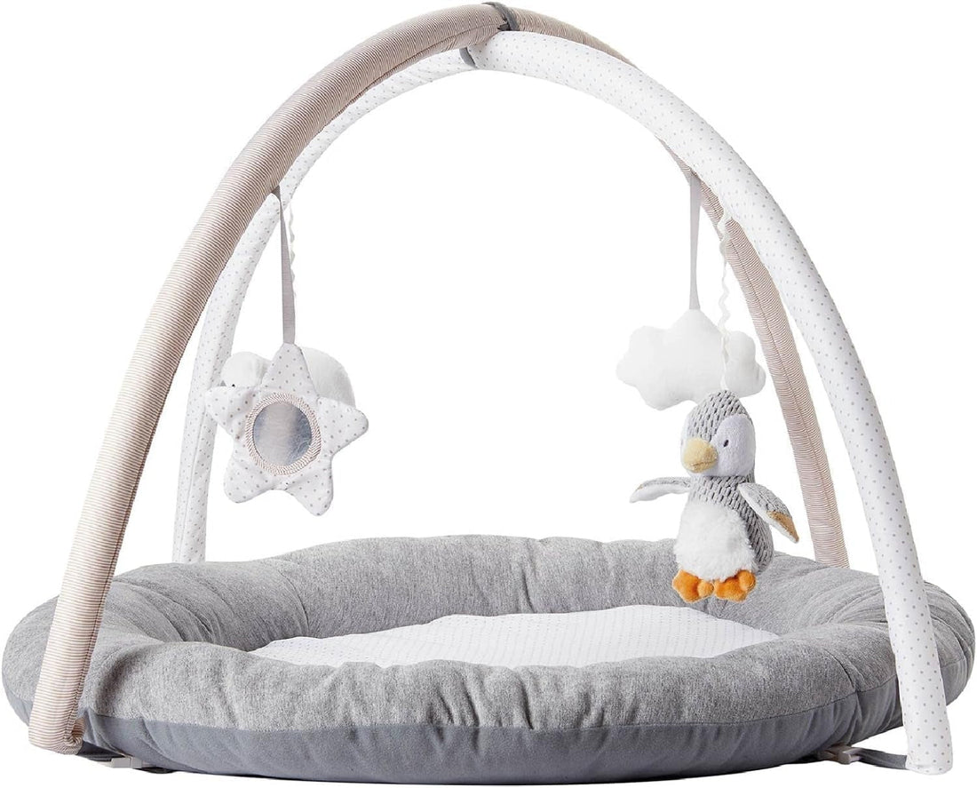 Nuby Penguin & Pals Play Gym | Prenatal, Babies, Nusring, Cybex, Avent Playmat & Gym