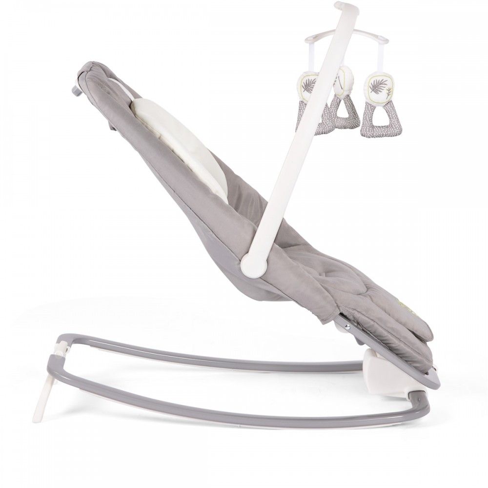 Joie Rocker Joie Dreamer Rocker-Bouncer - Fern - Bouncer with International Shipping