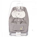 Joie Dreamer Rocker-Bouncer - Fern | Prenatal, Babies, Nusring, Cybex, Avent Bouncer