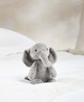 Mamas & Papas Welcome To The World Small Beanie Soft Toy - Archie Elephant | Prenatal, Babies, Nusring, Cybex, Avent Plush & Soft Toy