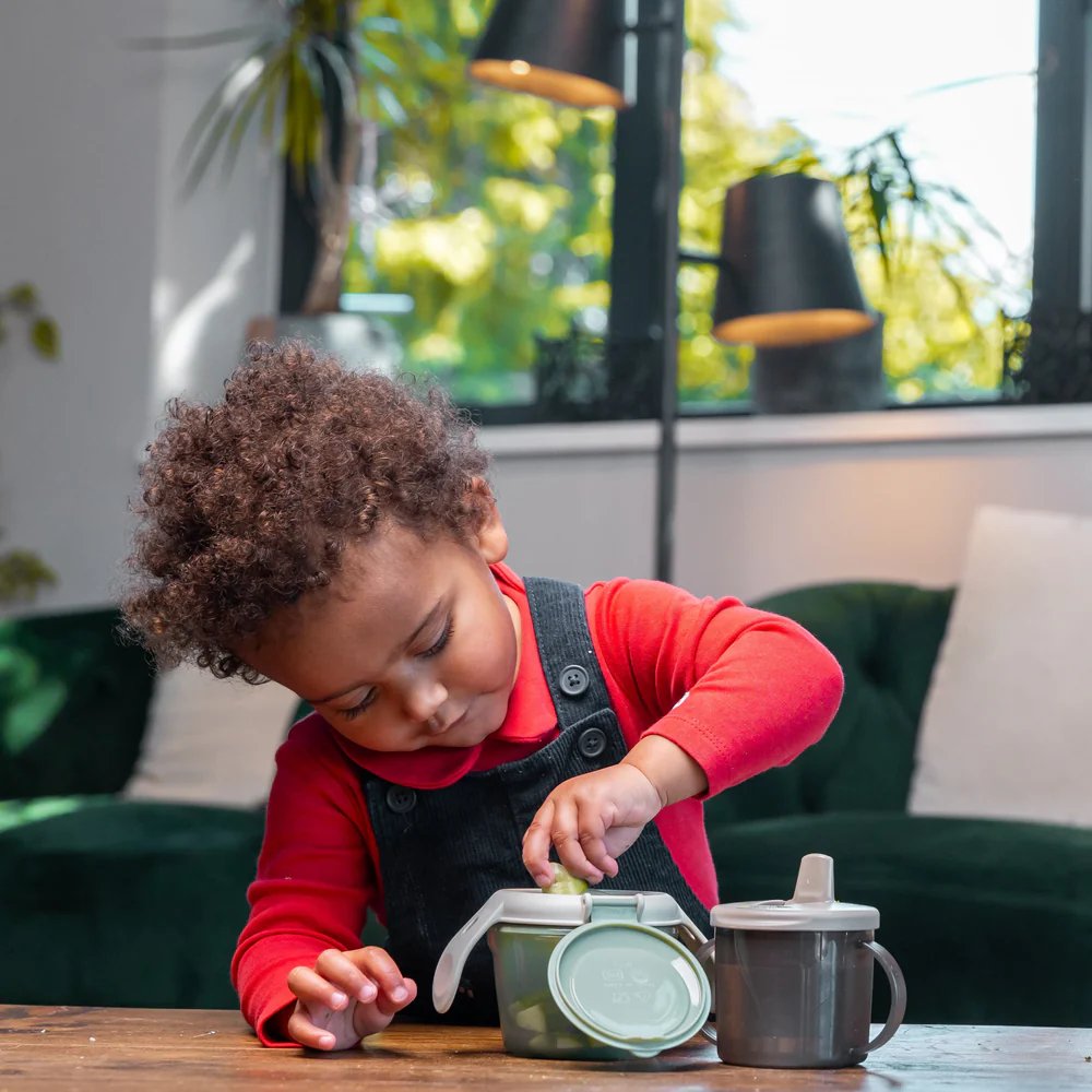 Vital Baby Nourish Snack On The Go™ | Prenatal, Babies, Nusring, Cybex, Avent Food Container