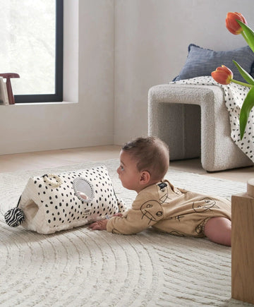 Another Fox Activity Triangle Toy