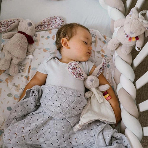 Babyono Rabbit Milly cuddly toy with a dummy holder Plush