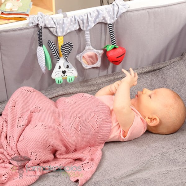 Babyono Hanging Activity Toy for Stroller | Prenatal, Babies, Nusring, Cybex, Avent Activity Toy