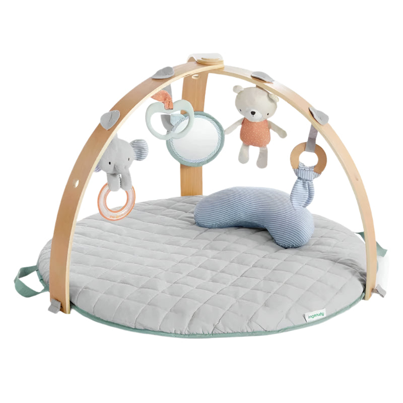 Ingenuity Cozy Spot Reversible Duvet Activity Gym with Self-storage | Prenatal, Babies, Nusring, Cybex, Avent Playmat & Gym