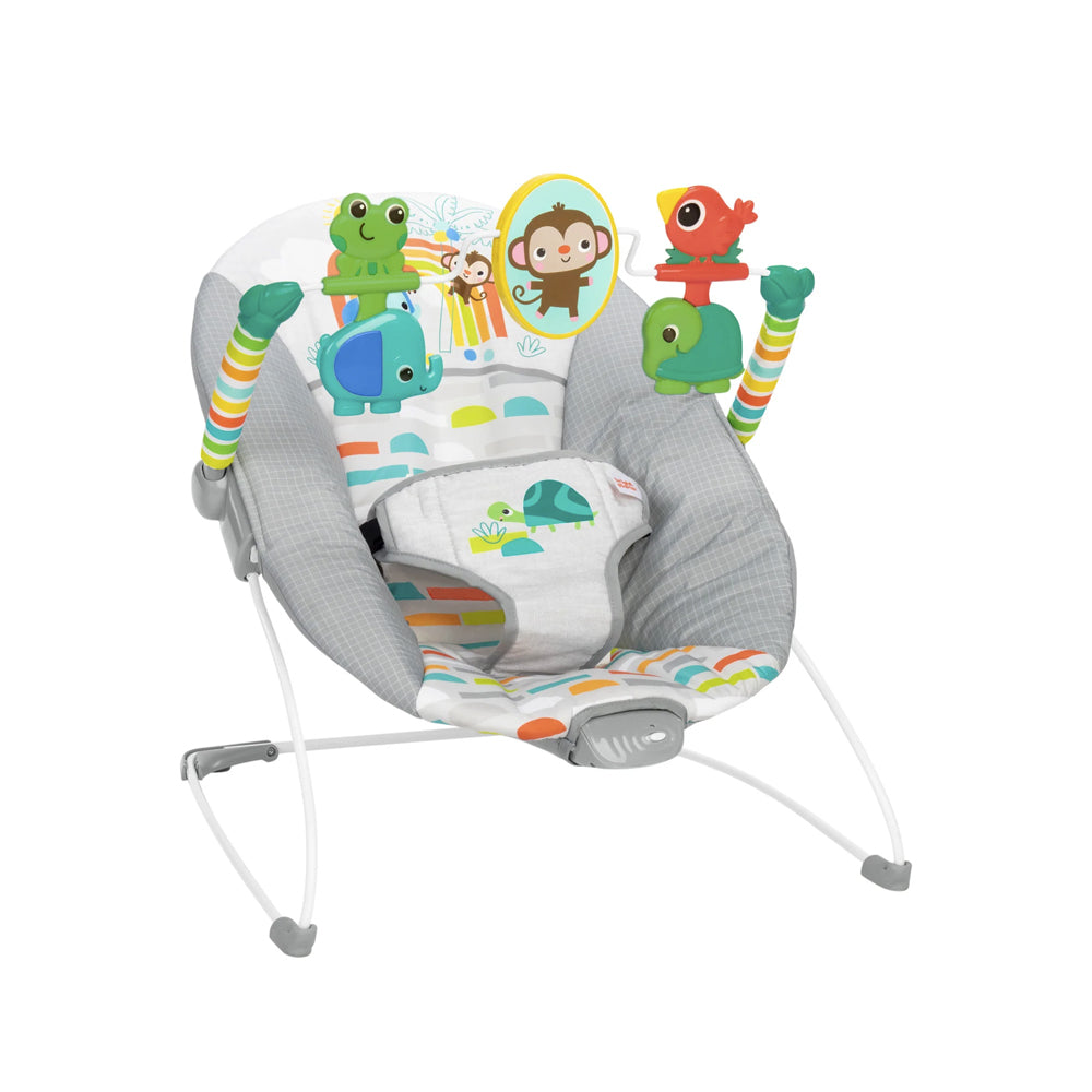 Bright Starts Playful Paradise Vibrating Baby Bouncer Rocker Chair Play Set | Prenatal, Babies, Nusring, Cybex, Avent Bouncer