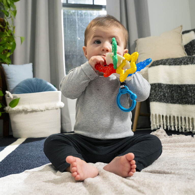 Baby Einstein Ocean Explorer - Sea of Sensory Teether Toy | Prenatal, Babies, Nusring, Cybex, Avent Teether