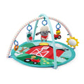 Baby Einstein Farm Explorers Happy Harvest Touch & Feel Activity Gym Gym