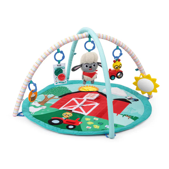Baby Einstein Farm Explorers Happy Harvest Touch & Feel Activity Gym Gym