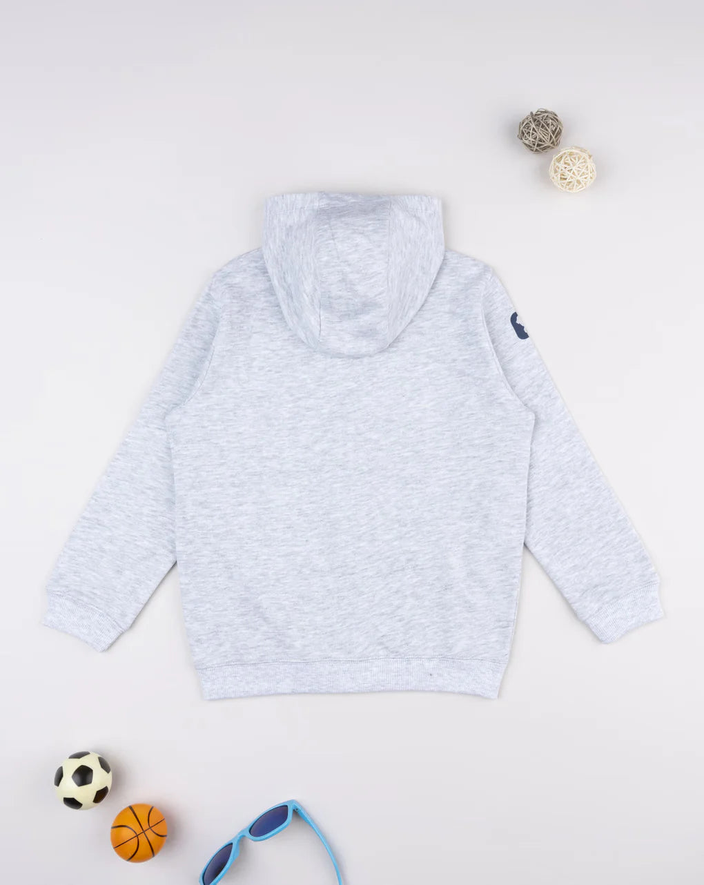 Prenatal Grey hoodie with dinosaur print for kids Hooded Jacket