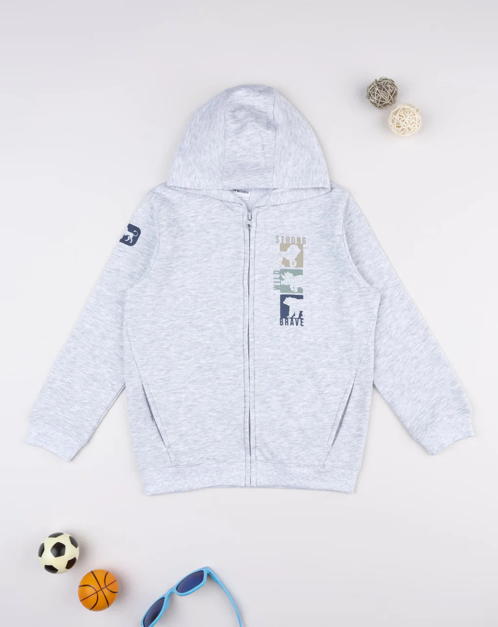 Prenatal Grey hoodie with dinosaur print for kids Hooded Jacket